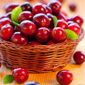 Cranberries3